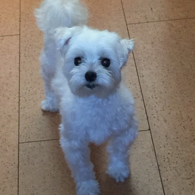 ありえないなんてことは、ありえない