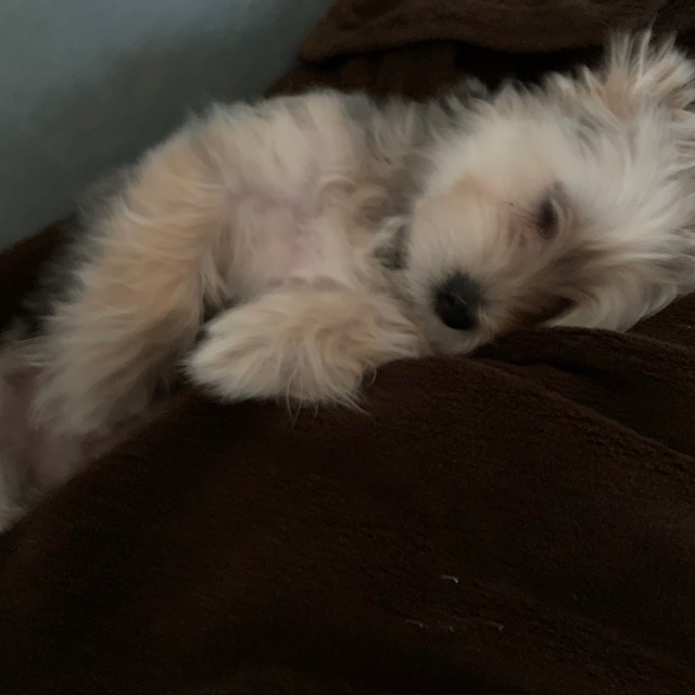 悩みは「答えを出そうとしたとき」に始まる